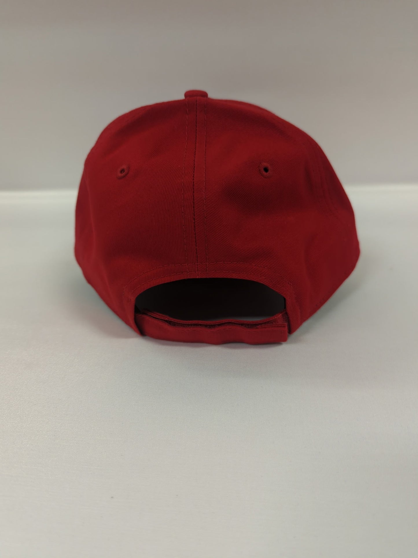 Polish Eagle Polska on all red