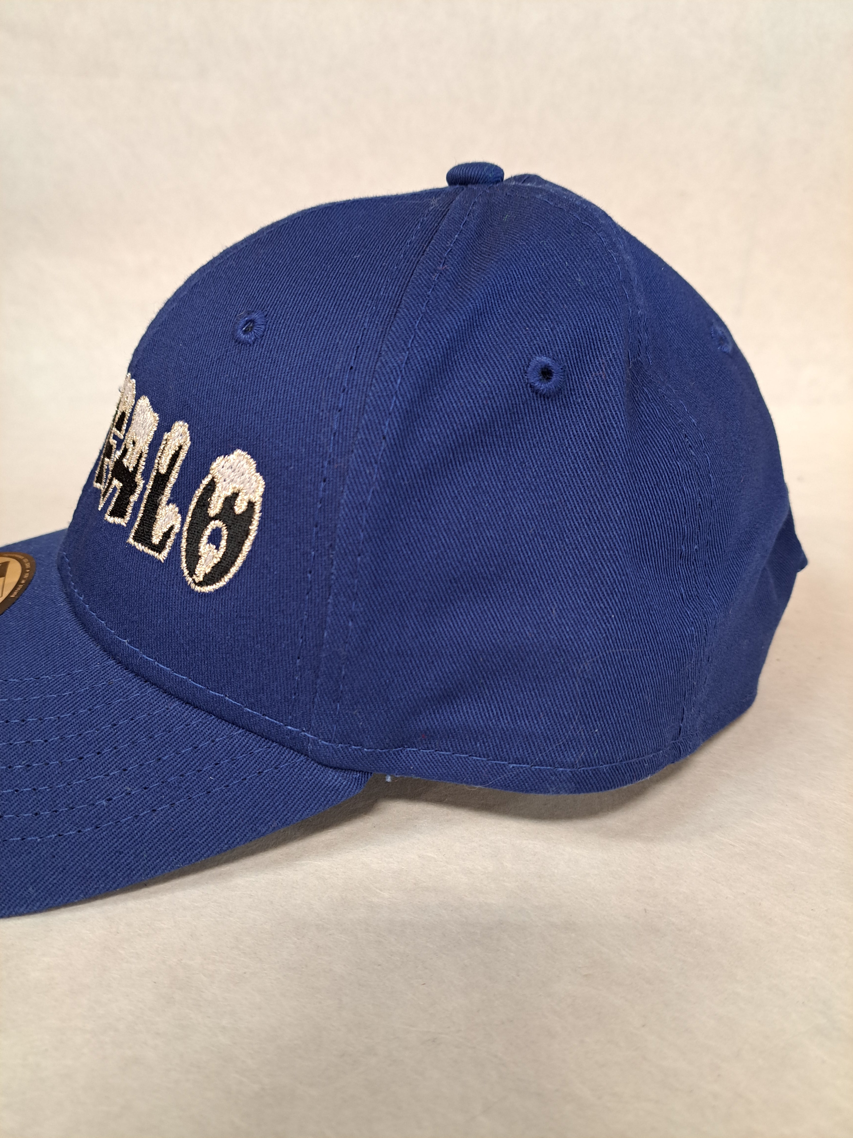 Snow Topped Buffalo Logo on Blue 9forty